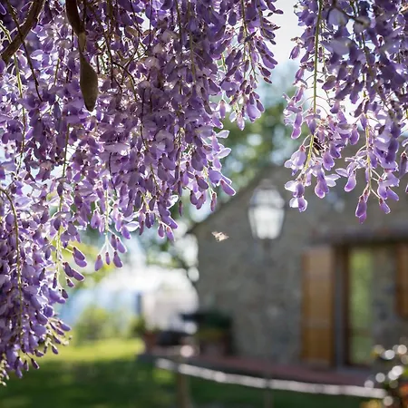 Le Cetinelle Country house *