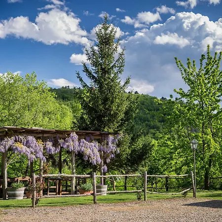 Country house Le Cetinelle *