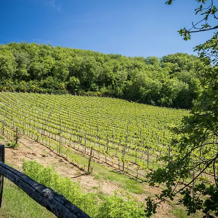Landhuis Le Cetinelle Greve in Chianti