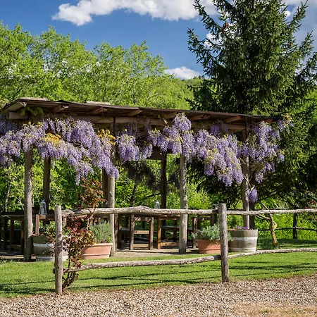 Le Cetinelle Greve in Chianti