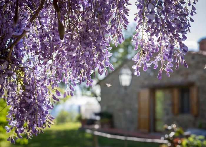 Le Cetinelle カントリーハウス *