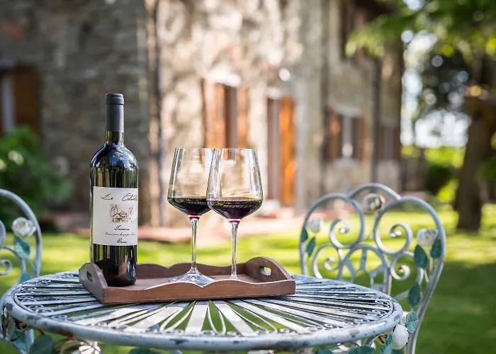 Le Cetinelle カントリーハウス *