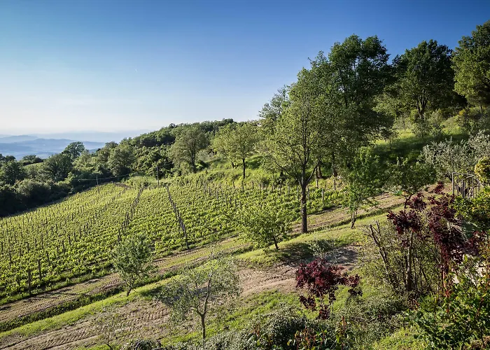 カントリーハウス Le Cetinelle *