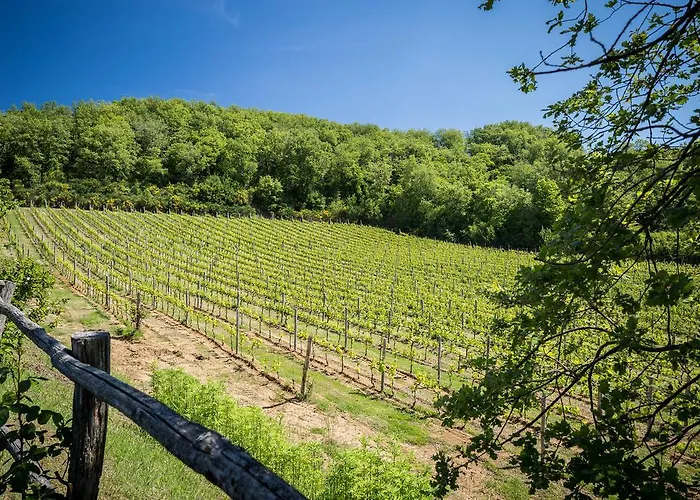 カントリーハウス Le Cetinelle *