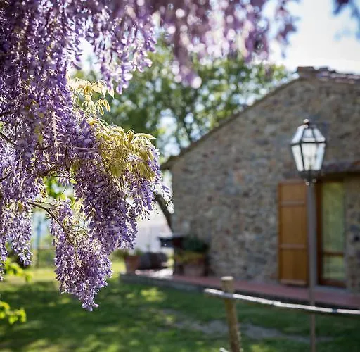 カントリーハウス Le Cetinelle *